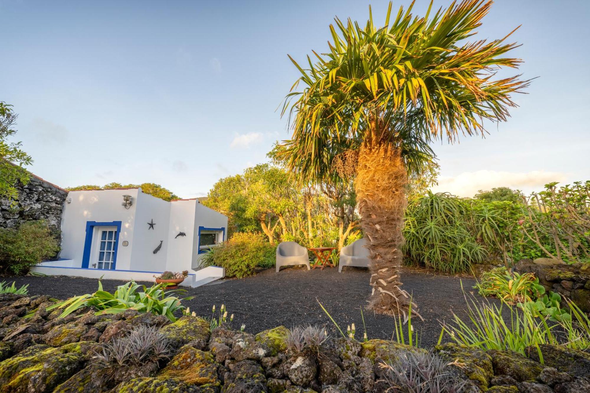 Bed and Breakfast O Zimbreiro Piedade  Esterno foto