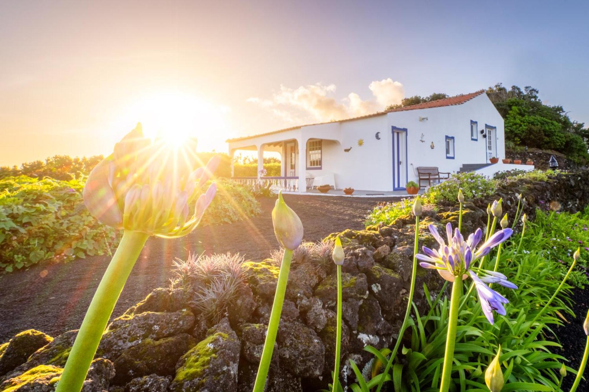 Bed and Breakfast O Zimbreiro Piedade  Esterno foto